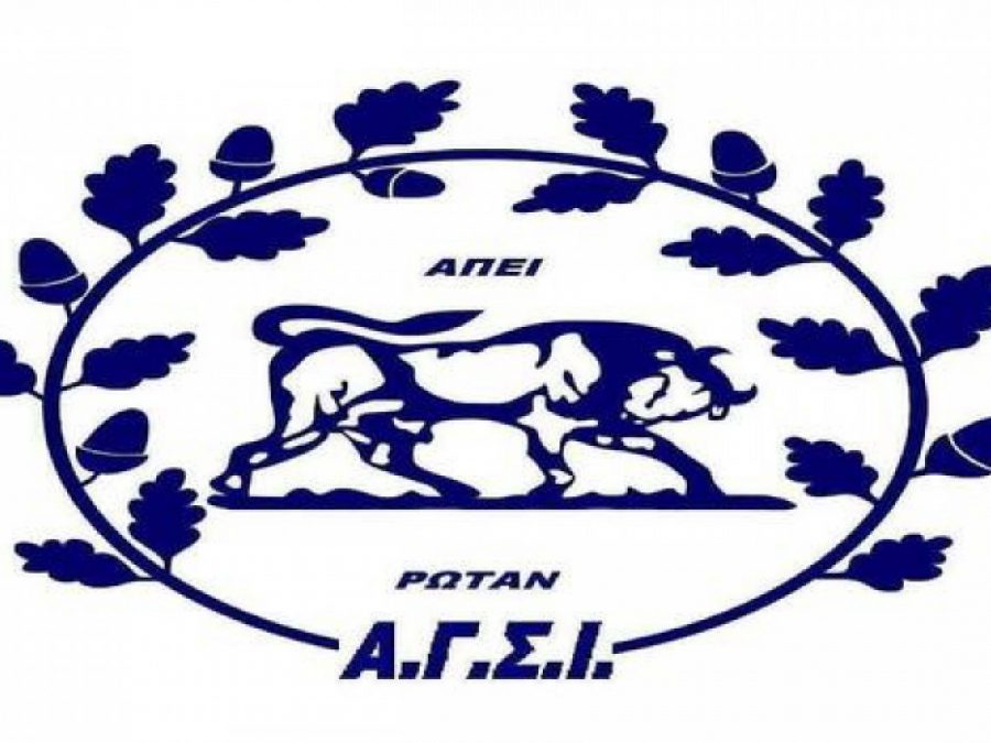 Πέρασε από την Πρέβεζα (1-3 σετ) ο ΑΓΣΙ