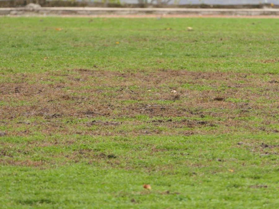 Γήπεδο Κόνιτσας: Από στολίδι έγινε χωράφι (video+photos)