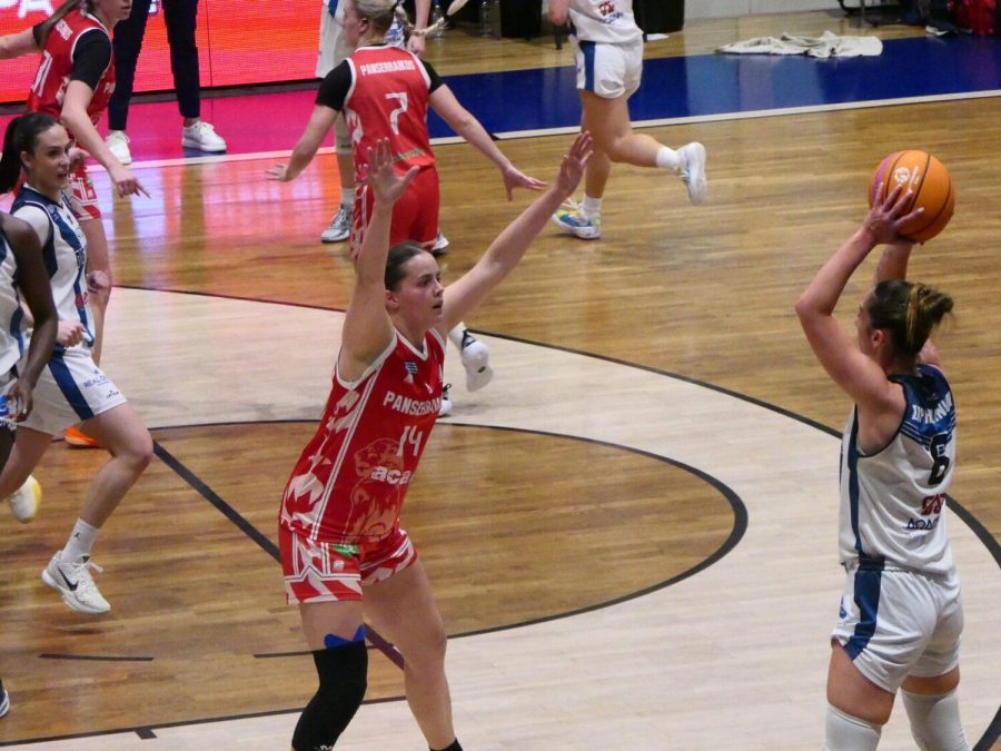 Τρομερές ταυρίνες, πήραν το ντέρμπι (71-66) με Πανσερραϊκό 