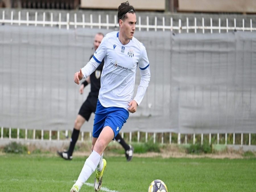 Χωρίς Δερμιτζάκη και Αρνίς η αποστολή του Νέστου για Γιάννενα