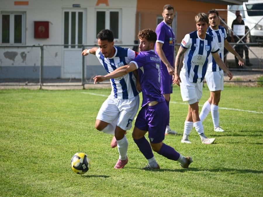 Τα γκολ από το ΠΑΣ Γιάννινα- Άρης Φιλιατών 2-0 (video)