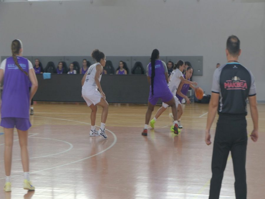 Φιλική νίκη του ΠΑΣ Γιάννινα, 71-62 τον ΠΑΟΚ (video)