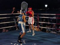 Με επιτυχία διεξήχθη το 5ο INTERNATIONAL TIGER BOXING CUP (video+photos)