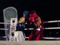 Με επιτυχία διεξήχθη το 5ο INTERNATIONAL TIGER BOXING CUP (video+photos)