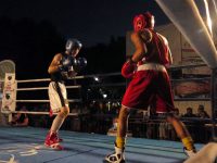 Με επιτυχία διεξήχθη το 5ο INTERNATIONAL TIGER BOXING CUP (video+photos)