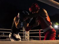 Με επιτυχία διεξήχθη το 5ο INTERNATIONAL TIGER BOXING CUP (video+photos)