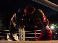 Με επιτυχία διεξήχθη το 5ο INTERNATIONAL TIGER BOXING CUP (video+photos)