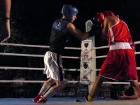 Με επιτυχία διεξήχθη το 5ο INTERNATIONAL TIGER BOXING CUP (video+photos)