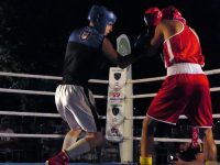 Με επιτυχία διεξήχθη το 5ο INTERNATIONAL TIGER BOXING CUP (video+photos)