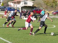 Φωτορεπορτάζ από το Κουτσελιό-Αμπελόκηποι (Μέρος Α)