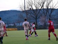 Αγχωτική νίκη για τους Αμπελόκηπους, 3-1 την Ζωοδόχο (video)